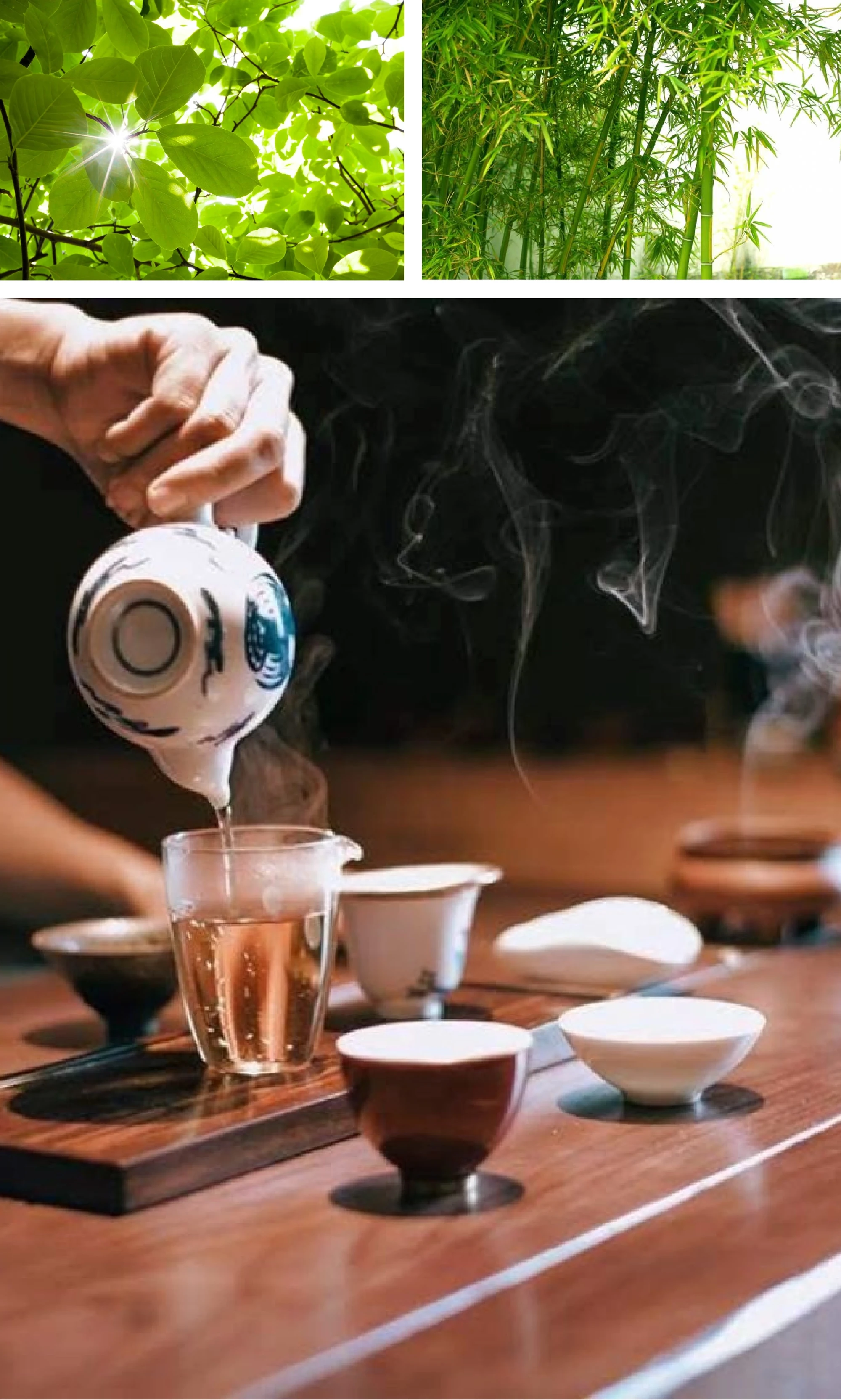 [E-Magazine]: Tiếng trúc vô vi