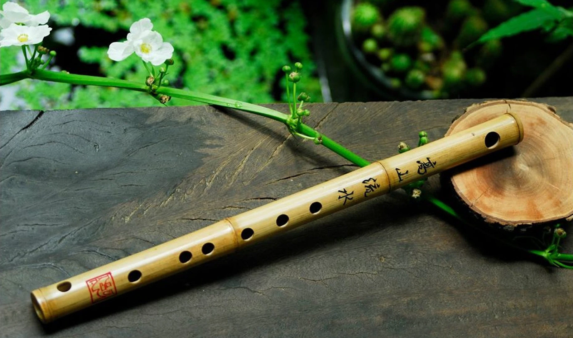 [E-Magazine]: Tiếng trúc vô vi