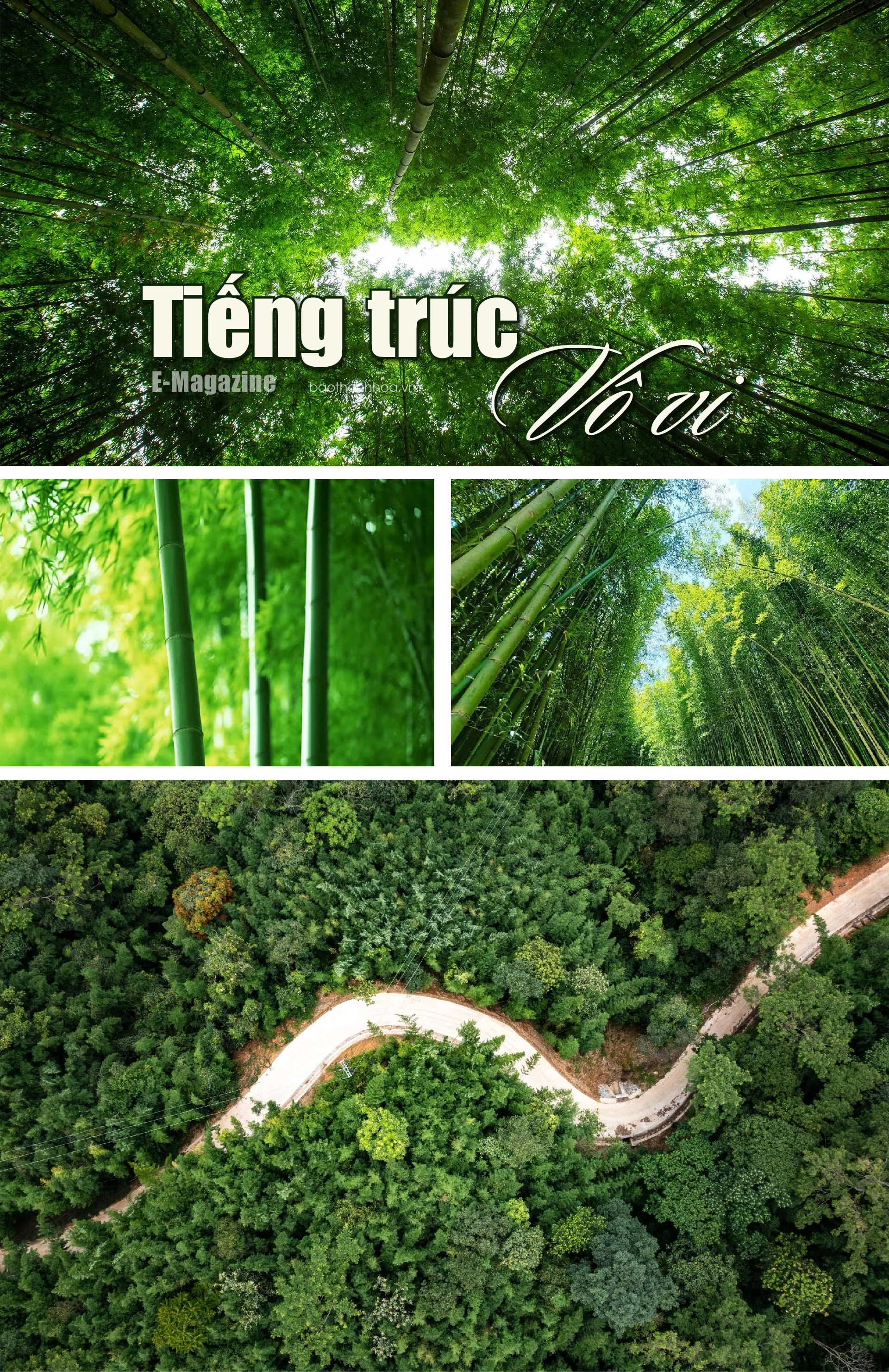 [E-Magazine]: Tiếng trúc vô vi