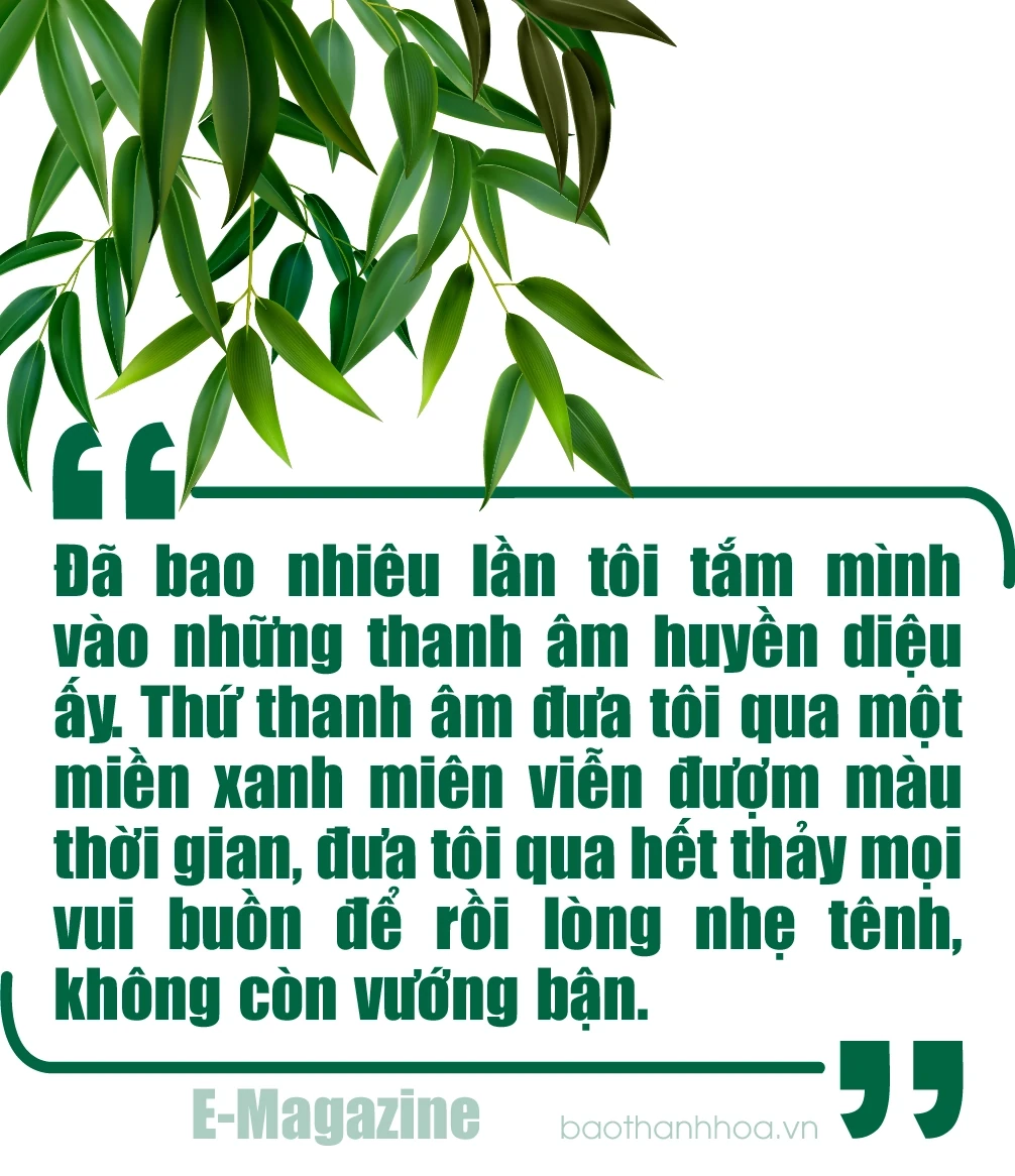 [E-Magazine]: Tiếng trúc vô vi