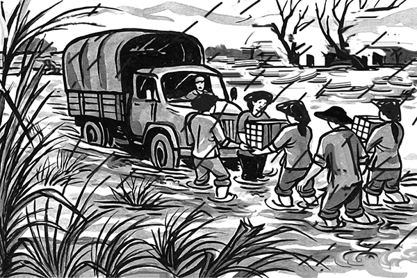 Đường về đồng cói