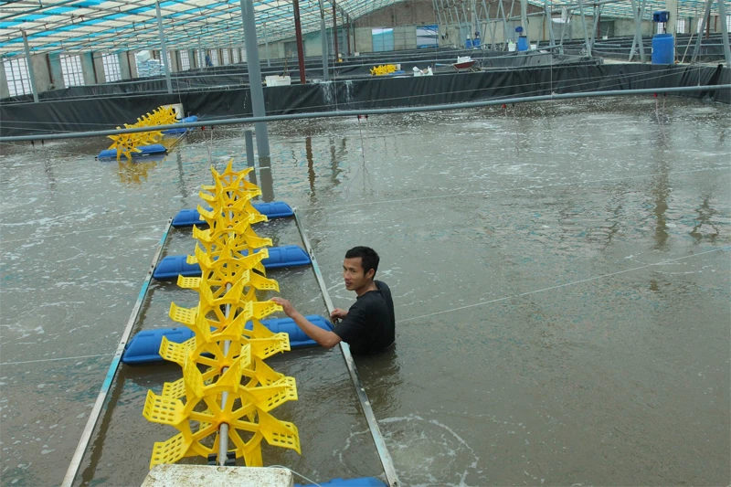 Phát triển nuôi trồng thủy sản thích ứng với biến đổi khí hậu