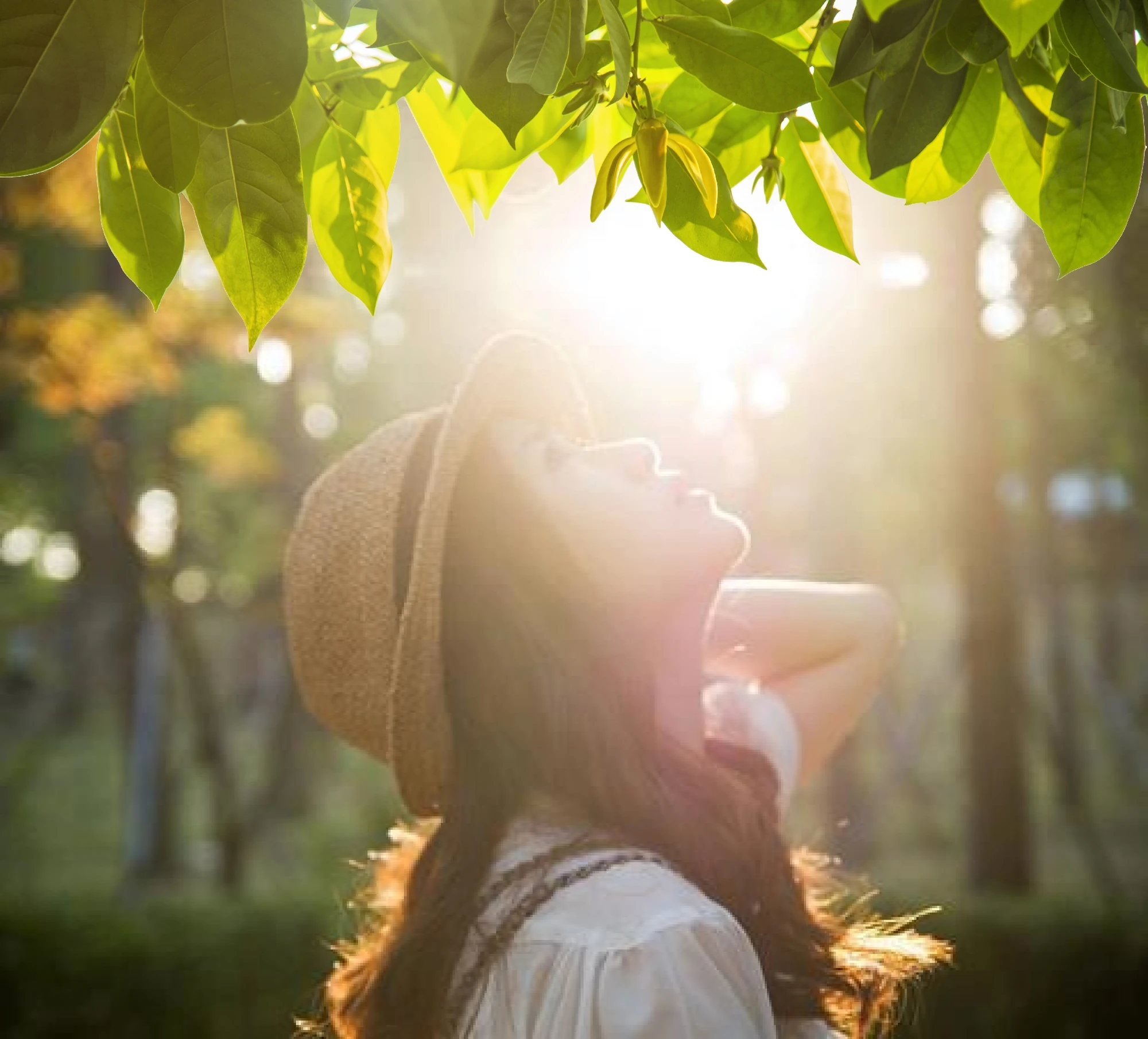 [E-Magazine]: Hương hoàng lan cuối thu