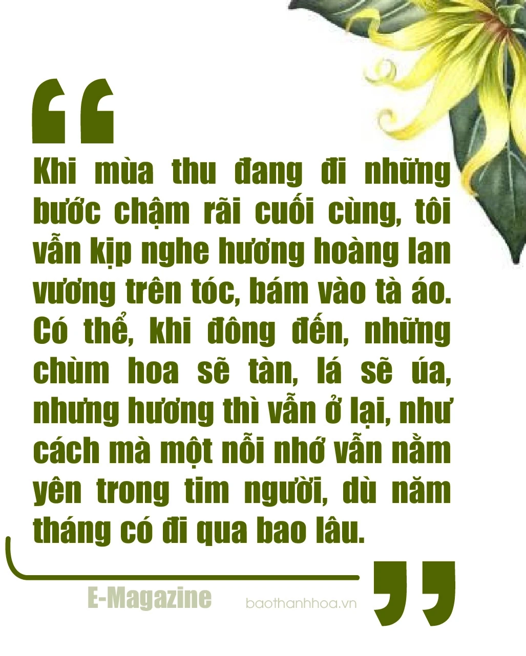 [E-Magazine]: Hương hoàng lan cuối thu