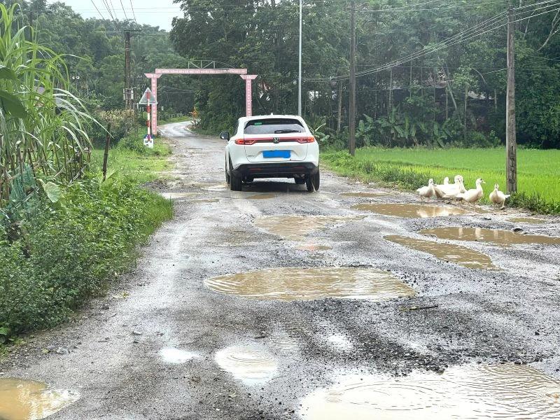 Tuyến tỉnh lộ 530D hư hỏng, xuống cấp nghiêm trọng