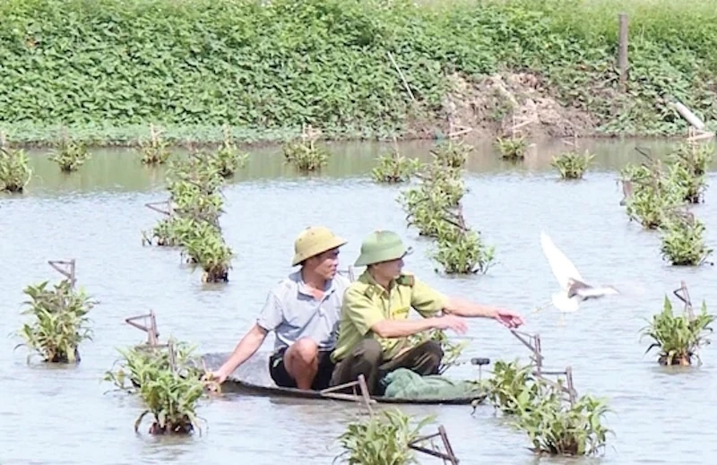 Tăng cường quản lý hành vi săn bắt, bẫy bắt động vật hoang dã