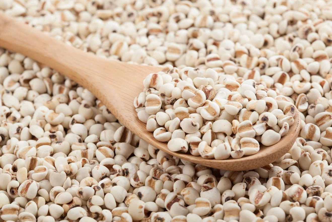 Thu hồi dược liệu Ý dĩ không đạt tiêu chuẩn chất lượng