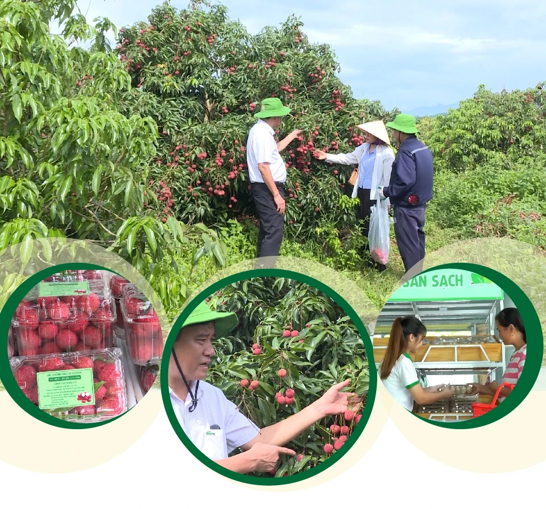 [E - Magazine] Nông nghiệp Thanh Hóa - Từ tiềm năng đến bứt phá