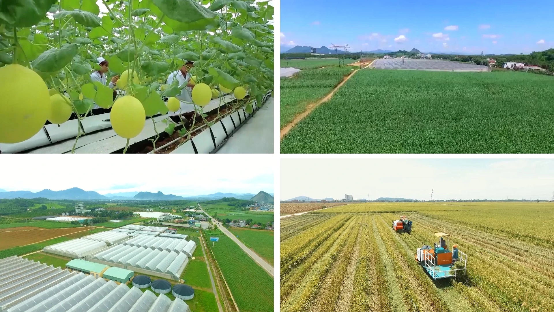 [E - Magazine] Nông nghiệp Thanh Hóa - Từ tiềm năng đến bứt phá