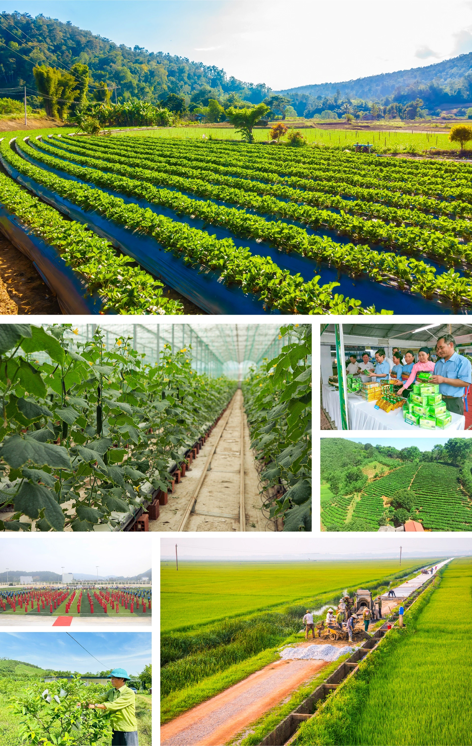 [E - Magazine] Nông nghiệp Thanh Hóa - Từ tiềm năng đến bứt phá