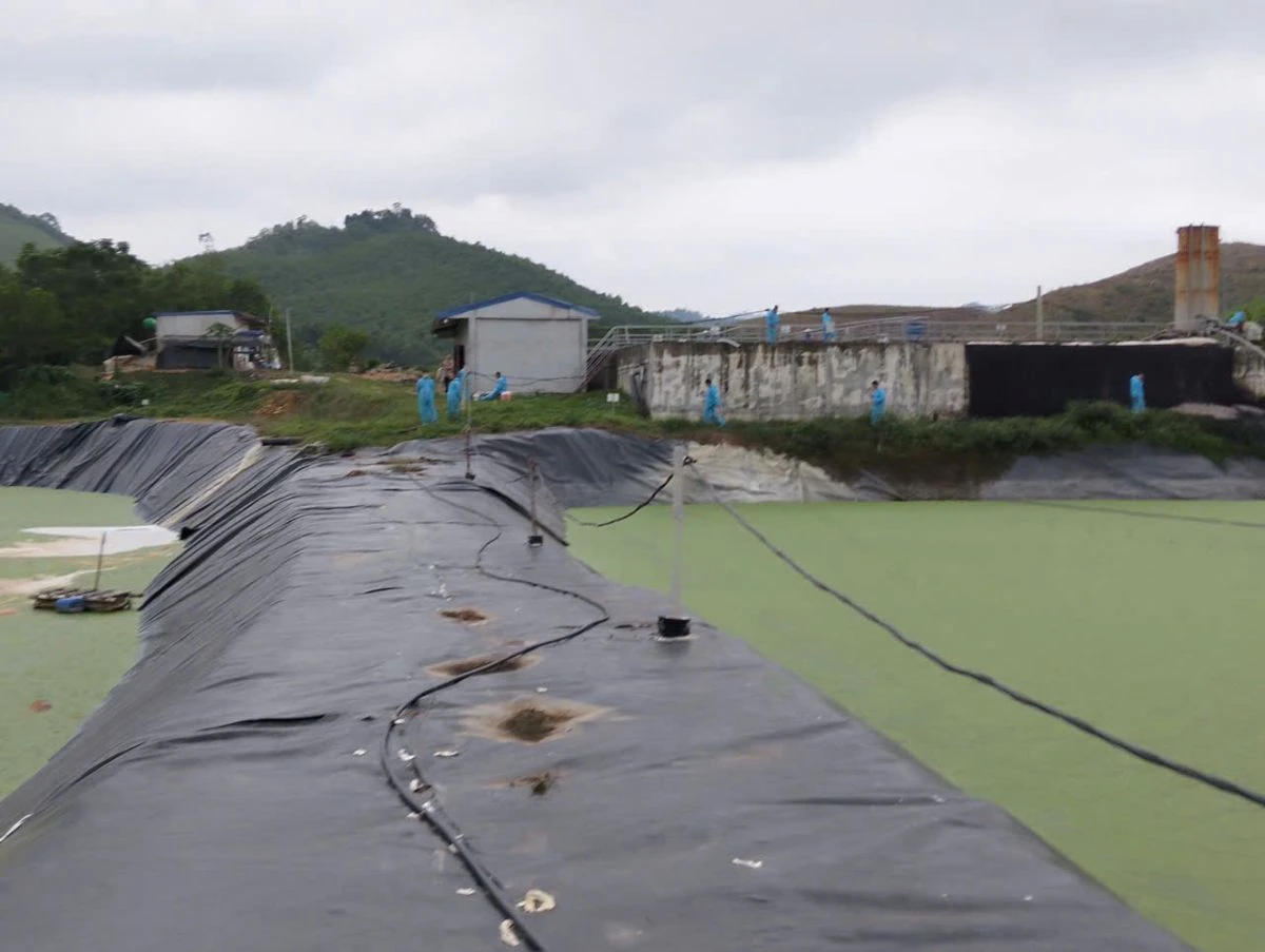 Thanh Hóa: Dừng hoạt động trang trại lợn công nghệ cao vi phạm quy định bảo vệ môi trường