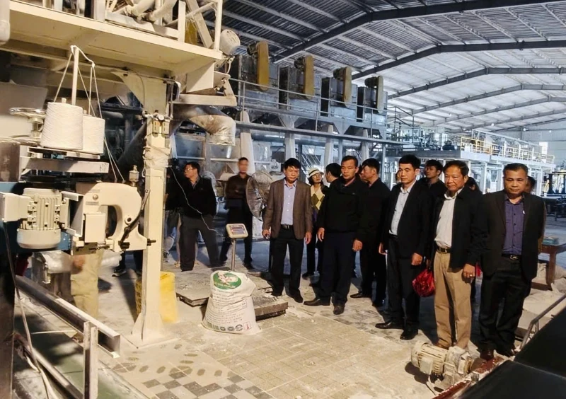 Hội thảo “Giải pháp nâng cao hiệu quả chuỗi giá trị sản xuất sắn bền vững”