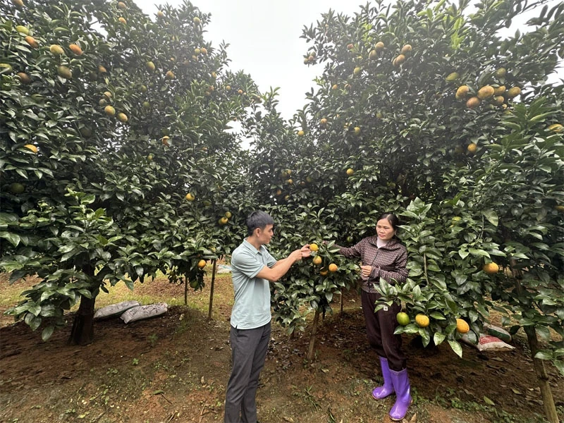 Điền Lư đưa nghị quyết đại hội Đảng vào cuộc sống