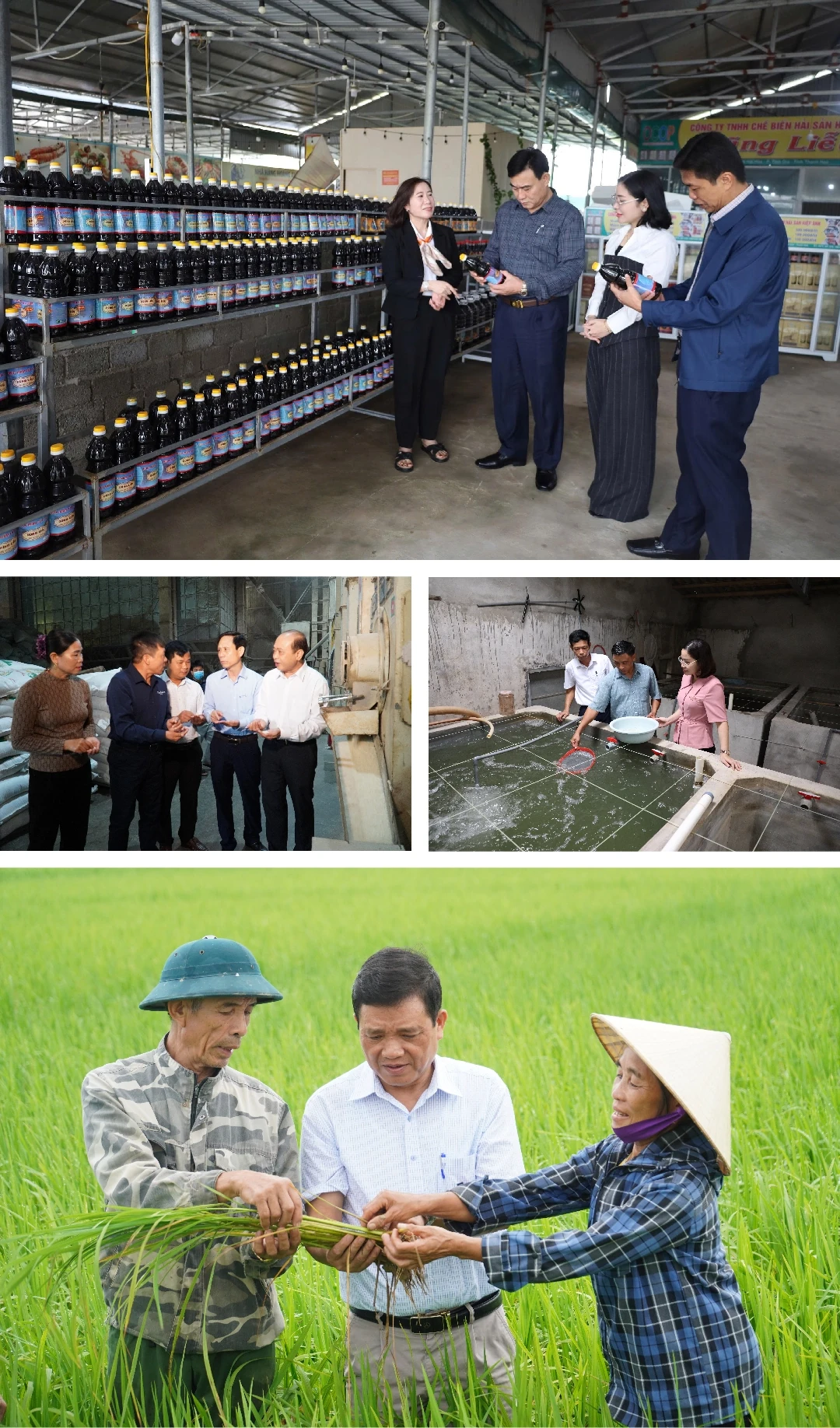 [E - Magazine] Phong trào Nông dân SXKD giỏi - sức lan tỏa bền vững của nông dân Thanh Hóa