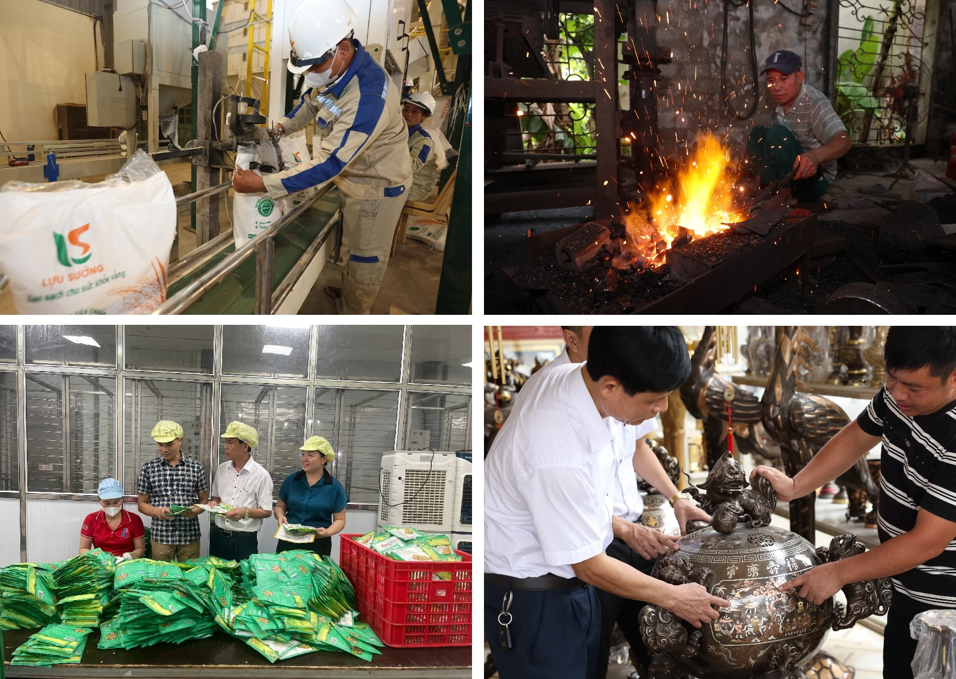 [E - Magazine] Phong trào Nông dân SXKD giỏi - sức lan tỏa bền vững của nông dân Thanh Hóa