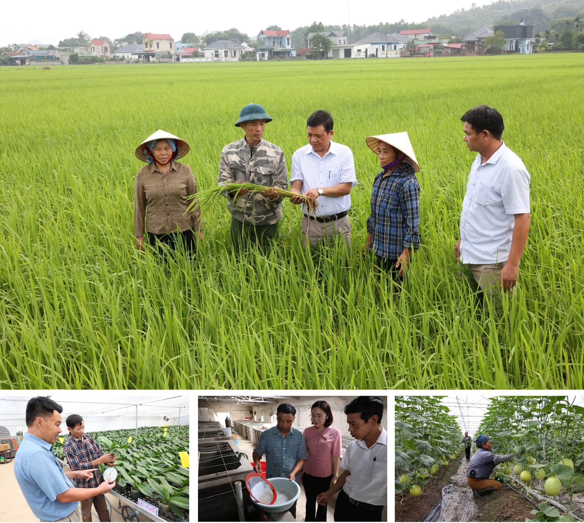 [E - Magazine] Phong trào Nông dân SXKD giỏi - sức lan tỏa bền vững của nông dân Thanh Hóa