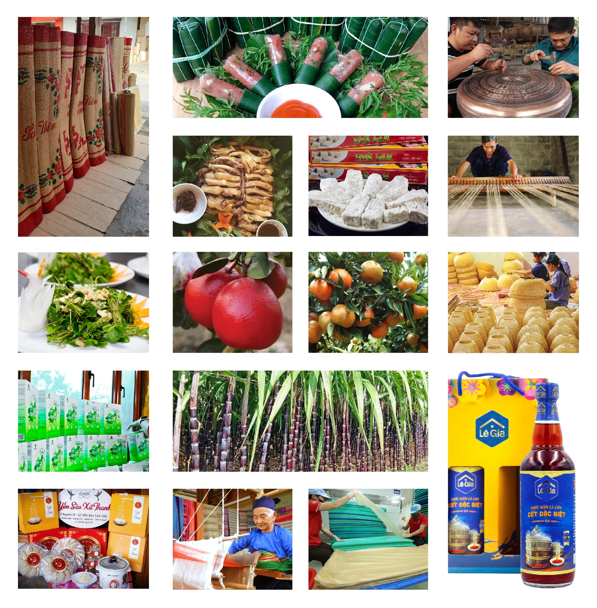 [E - Magazine] Phong trào Nông dân SXKD giỏi - sức lan tỏa bền vững của nông dân Thanh Hóa