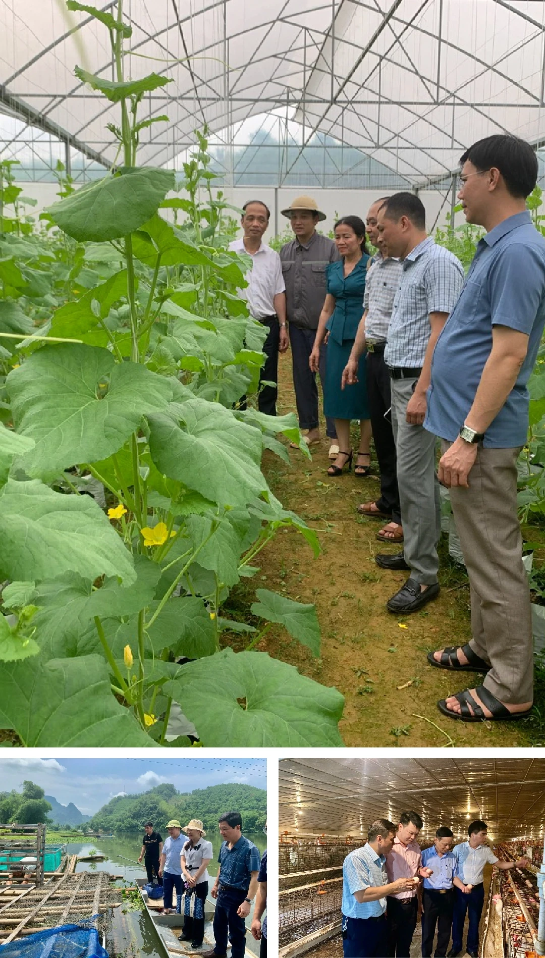 [E - Magazine] Phong trào Nông dân SXKD giỏi - sức lan tỏa bền vững của nông dân Thanh Hóa