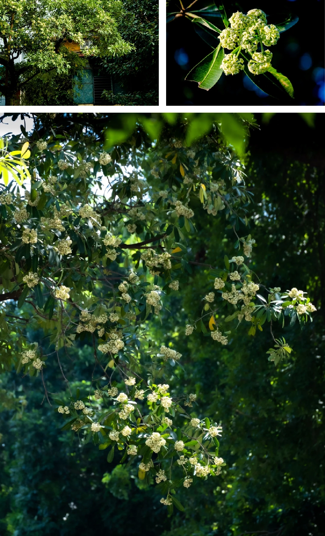 [E-Magazine]: Đông về, gọi yêu thương vọng lại