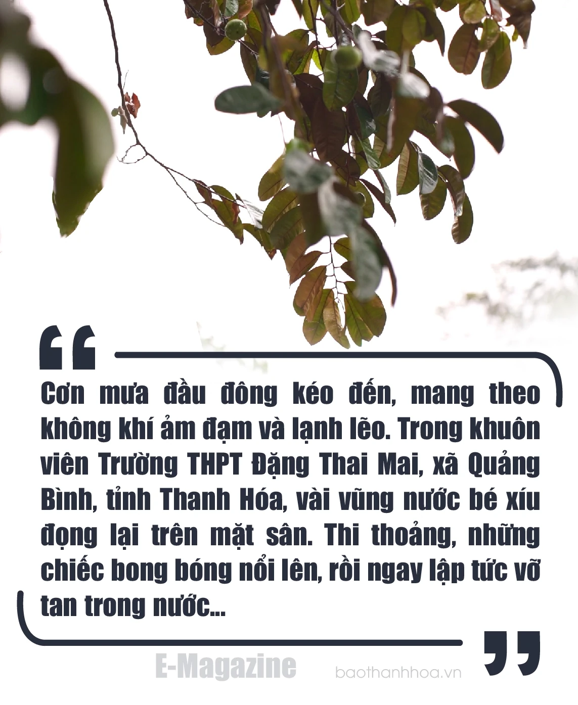 [E - Magazine] Từ bóng tối bạo lực đến ánh sáng yêu thương - Kỳ 1: Ám ảnh nỗi đau...