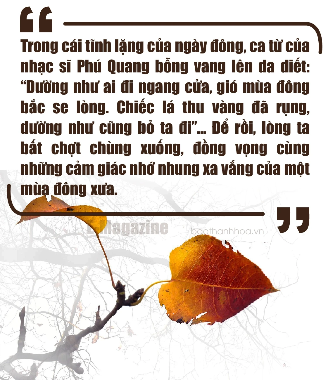 [E-Magazine]: Đông về, gọi yêu thương vọng lại