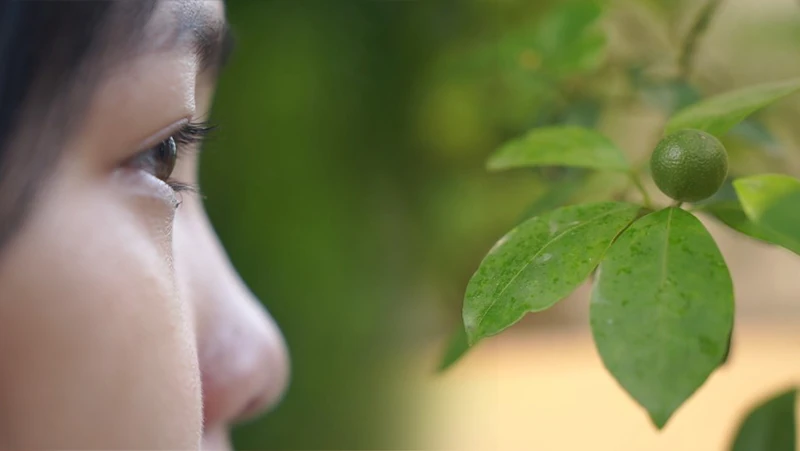 [E - Magazine] Từ bóng tối bạo lực đến ánh sáng yêu thương - Kỳ 1: Ám ảnh nỗi đau...