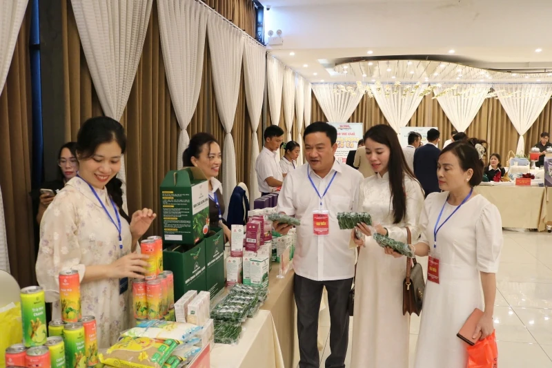 Kết nối giao thương, xúc tiến thương mại Thanh Hóa - Đà Nẵng