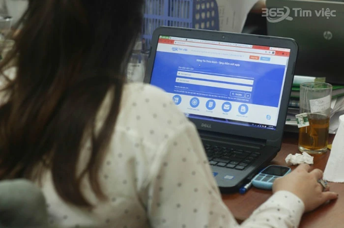 Timviec365.vn – Nền tảng tạo CV xin việc chuẩn và ấn tượng