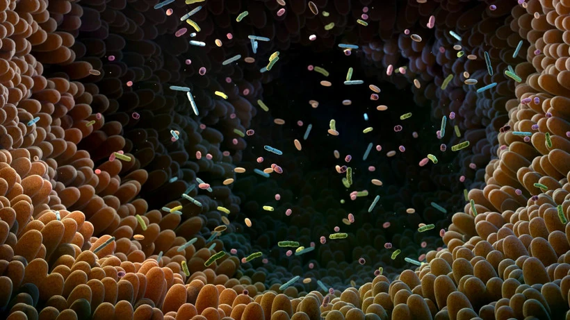 Nhà nghiên cứu Việt dùng AI giải mã “ngôn ngữ” vi khuẩn đường ruột