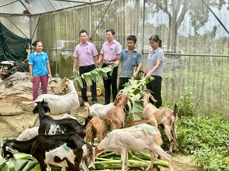 Giảm nghèo bền vững từ những mô hình sinh kế