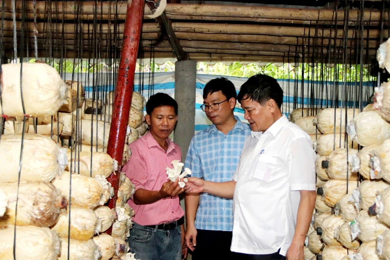 Vượt khó hoàn thành nhiệm vụ