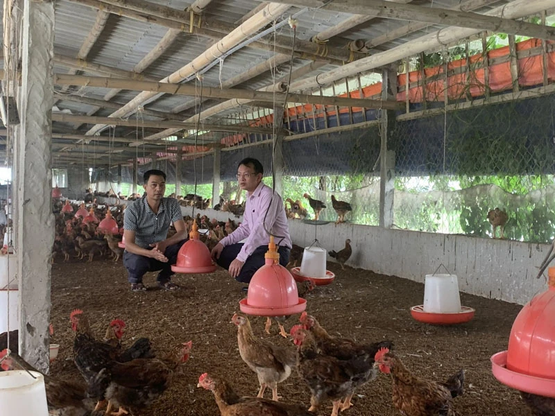 Nâng cao hiệu quả quản lý, phục vụ người dân ngày càng tốt hơn