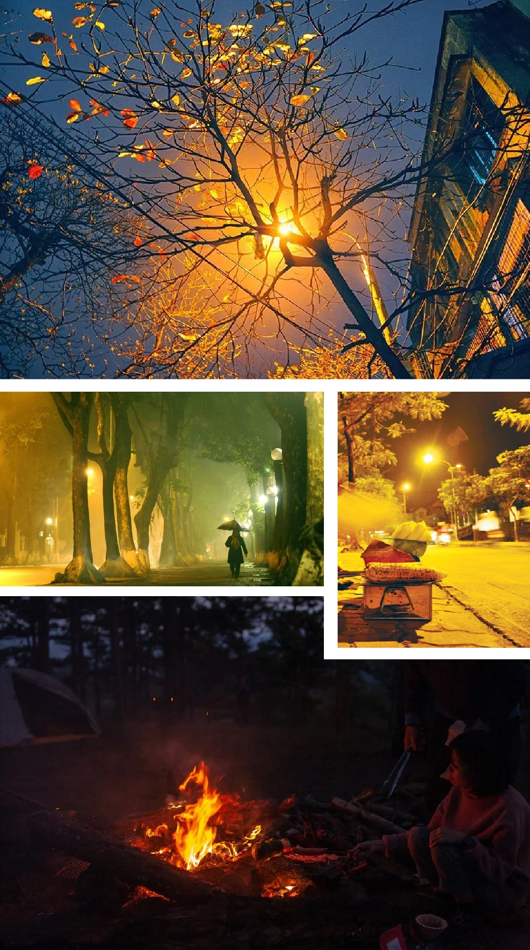 [E-Magazine]: Thơm theo mùa heo may ủ sương