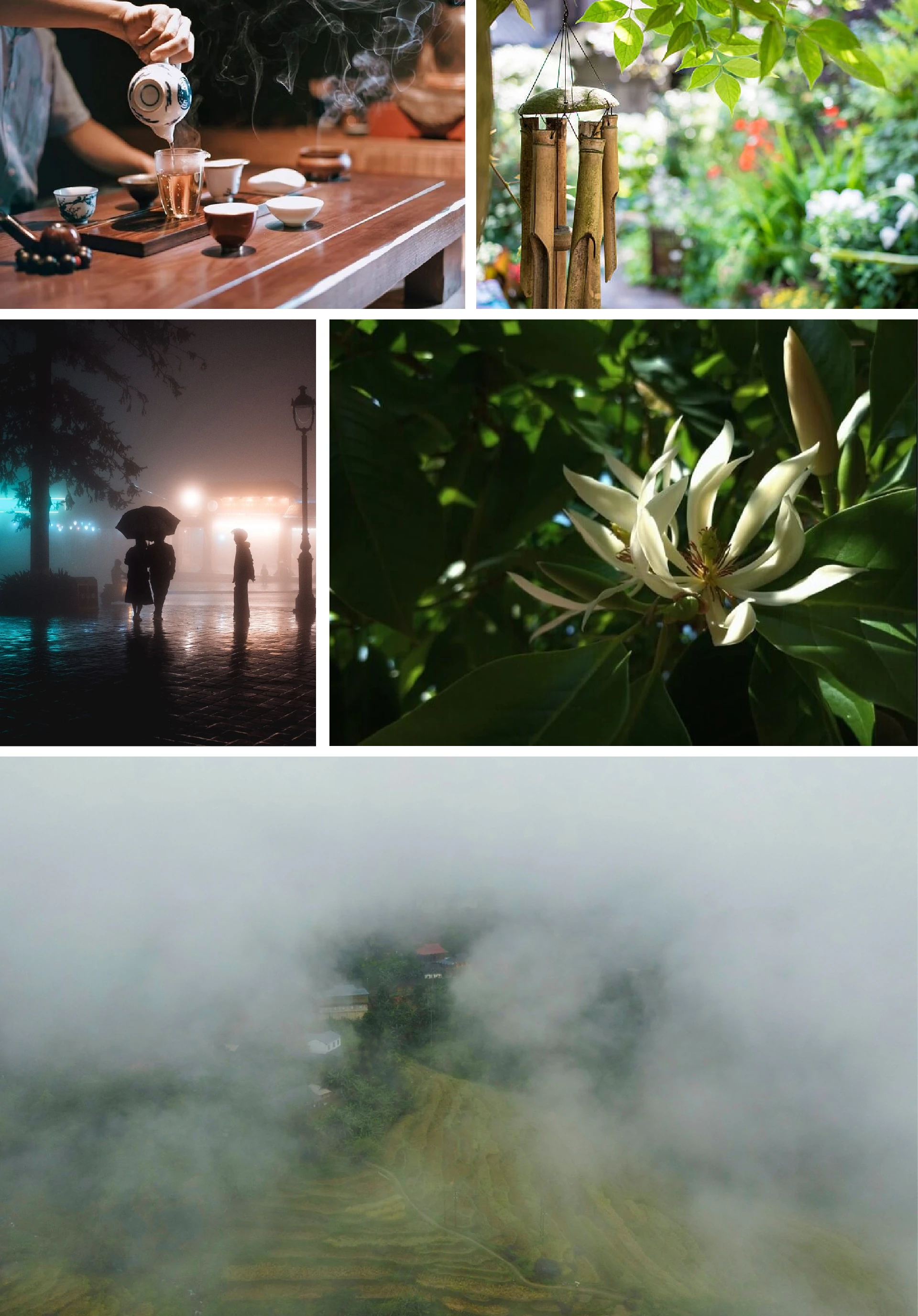 [E-Magazine]: Thơm theo mùa heo may ủ sương