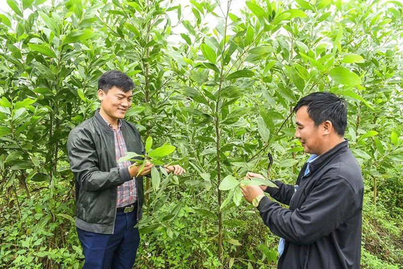 Tuyên truyền, phổ biến, giáo dục pháp luật ở thôn, bản đặc biệt khó khăn