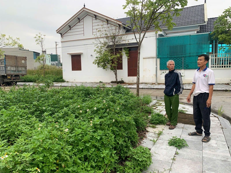 Vì sao các hộ dân trúng đấu giá tại một MBQH đất ở tại xã Hoằng Lộc không thể chuyển nhượng quyền sử dụng đất?