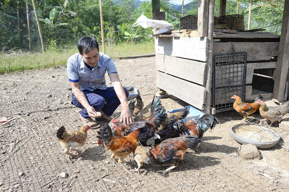 Trên khu tái định cư Co Hương