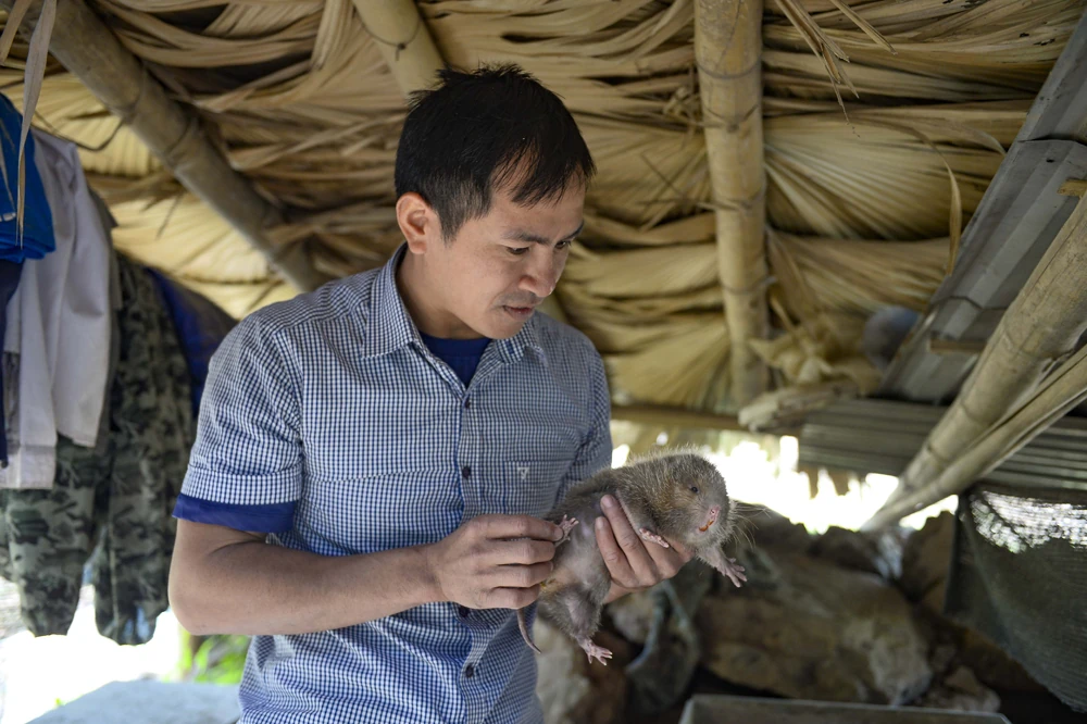 Trên khu tái định cư Co Hương