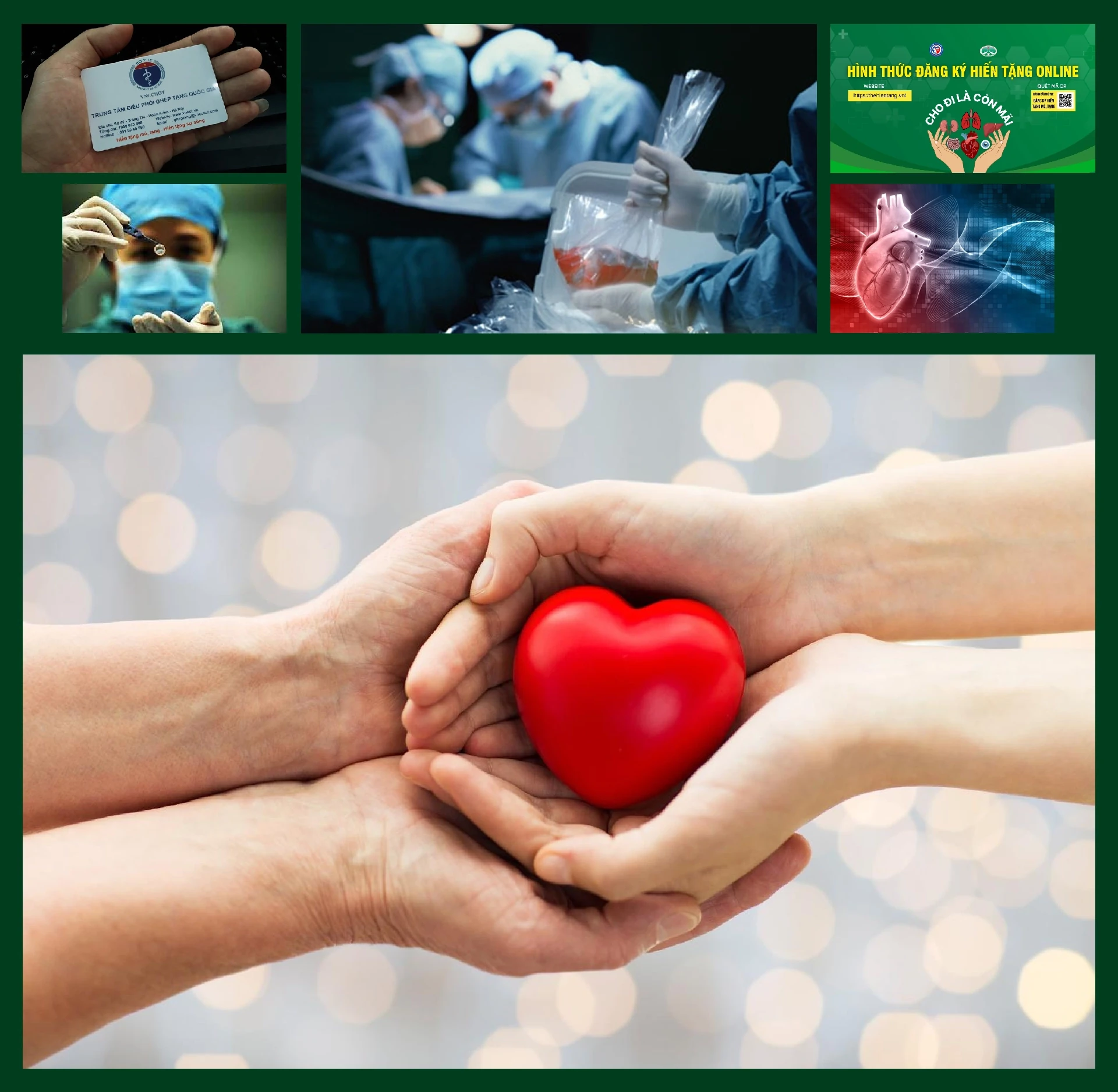 [E - Magazine] Người thầy của những điều đặc biệt