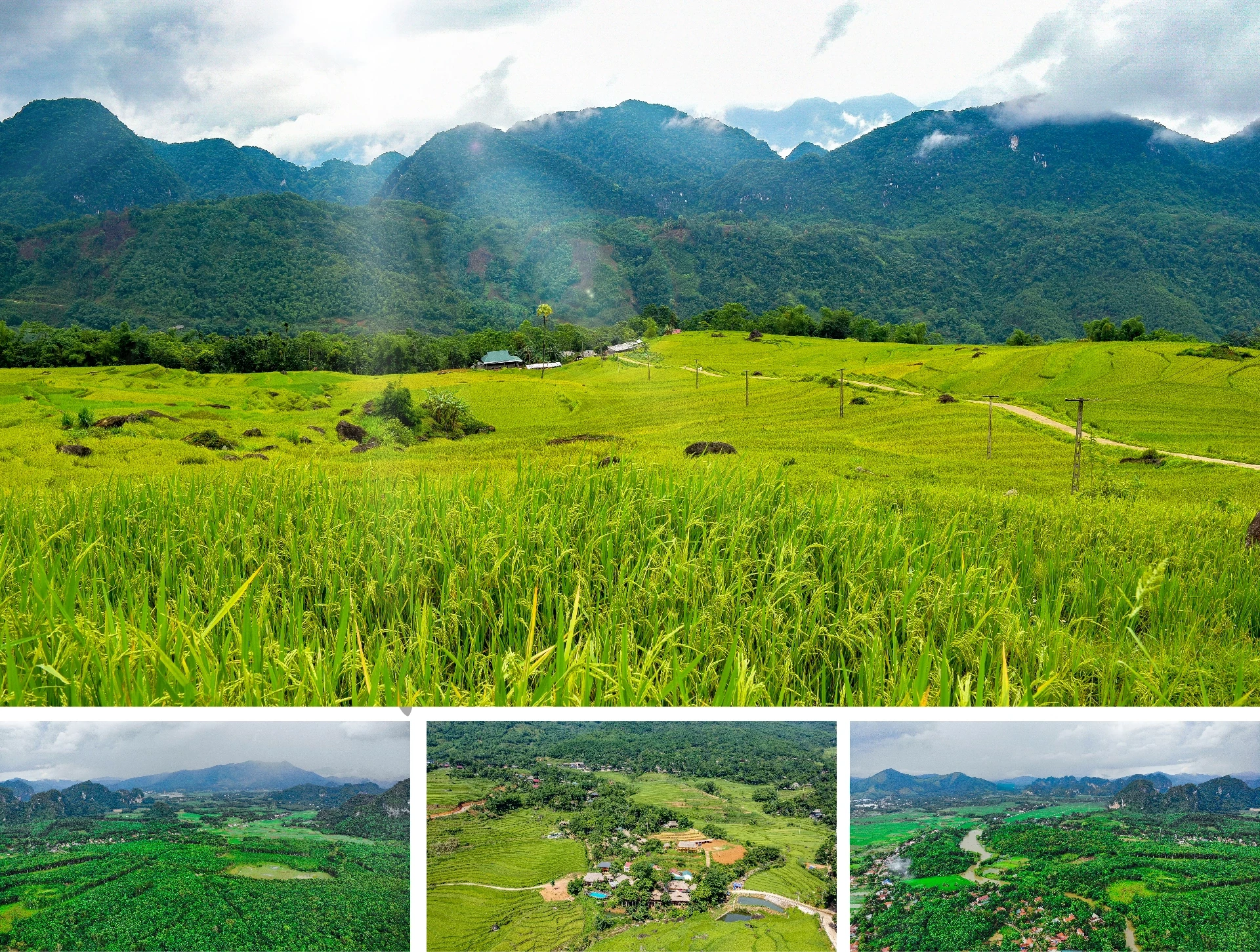 [E - Magazine] Những “người mẹ đặc biệt” gieo chữ nơi “thâm sơn cùng cốc”