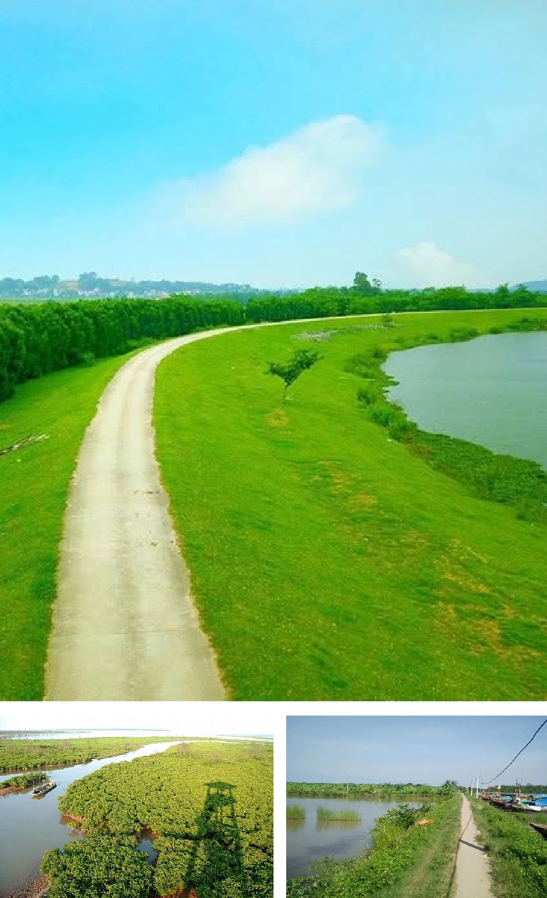 [E-magazin]: Những ngả đường có nắng