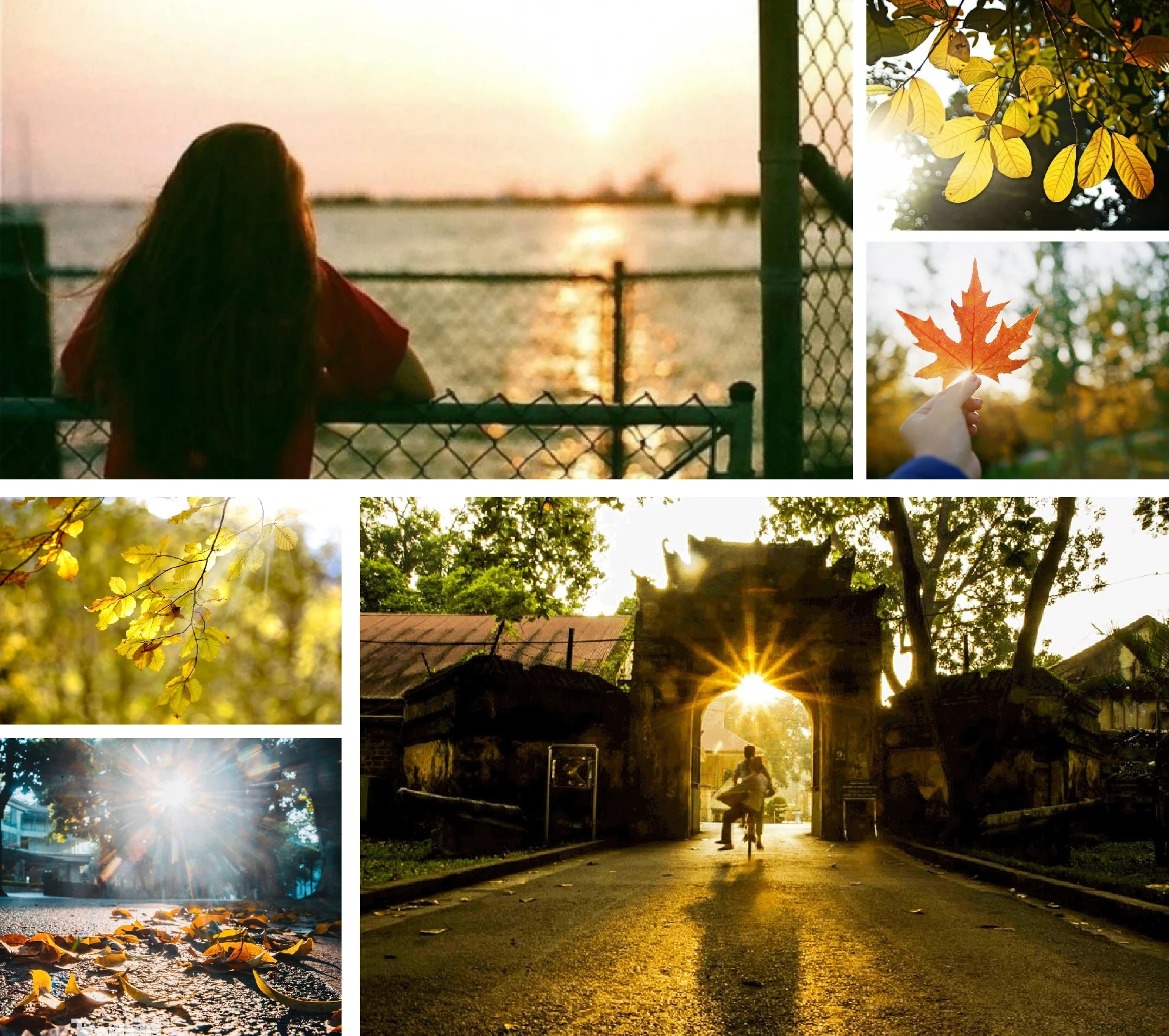 [E-magazin]: Những ngả đường có nắng