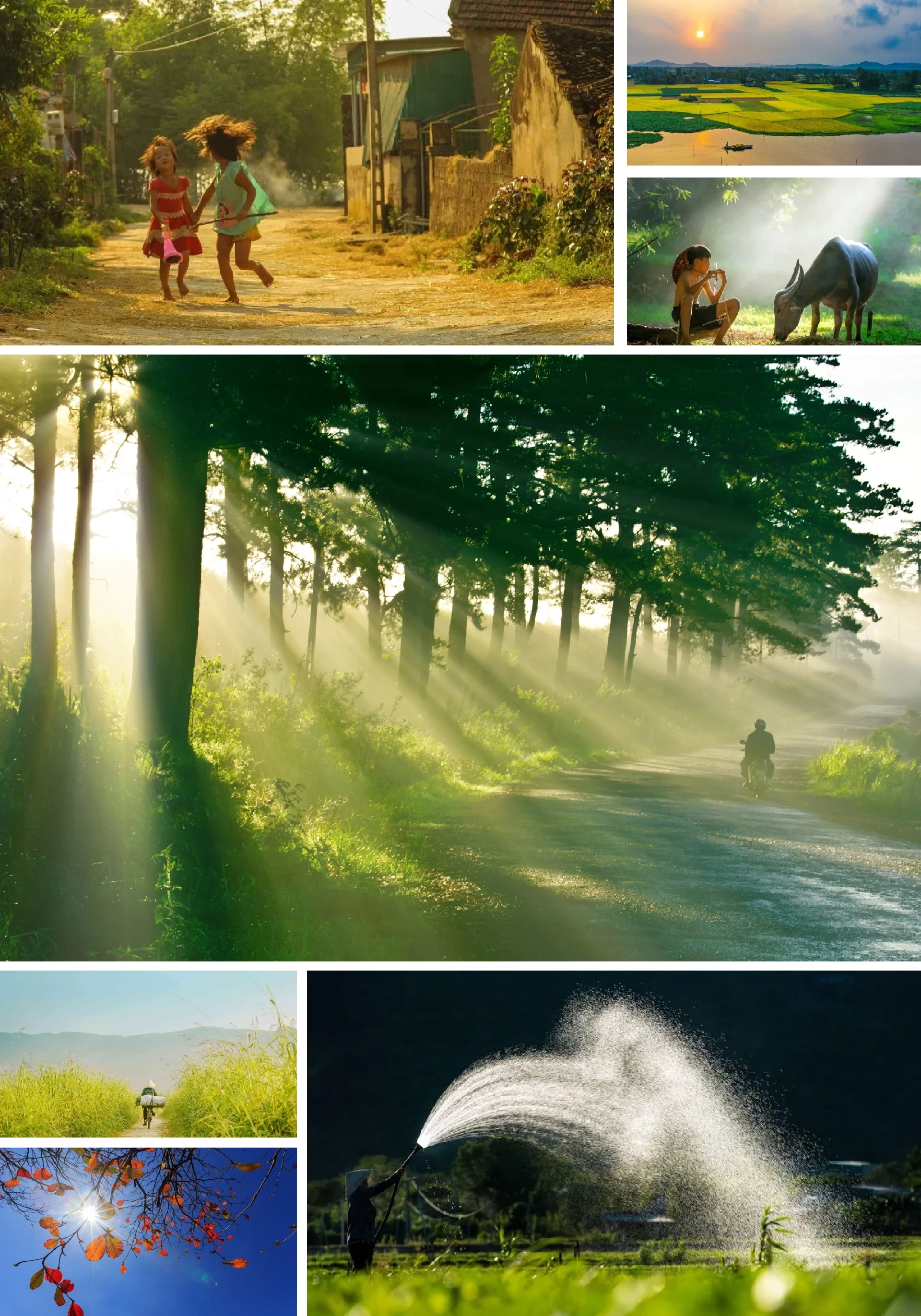 [E-magazin]: Những ngả đường có nắng