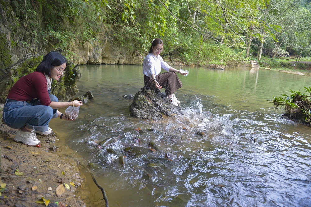 Bí ẩn hang cá thần giữa đại ngàn xứ Thanh