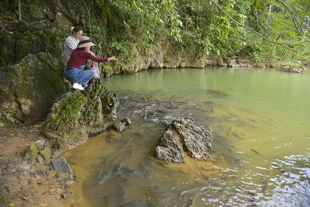 Bí ẩn hang cá thần giữa đại ngàn xứ Thanh