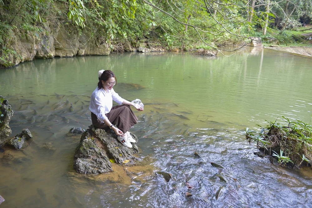 Bí ẩn hang cá thần giữa đại ngàn xứ Thanh