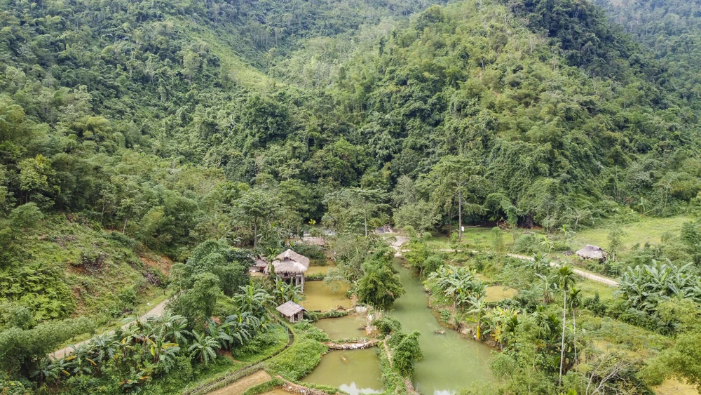 Bí ẩn hang cá thần giữa đại ngàn xứ Thanh