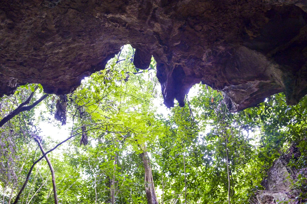 Bí ẩn hang cá thần giữa đại ngàn xứ Thanh