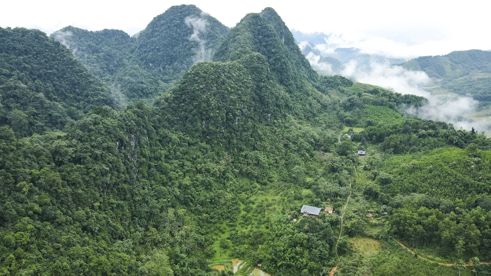 Cam, quýt Pù Luông, cây thoát nghèo của người vùng cao