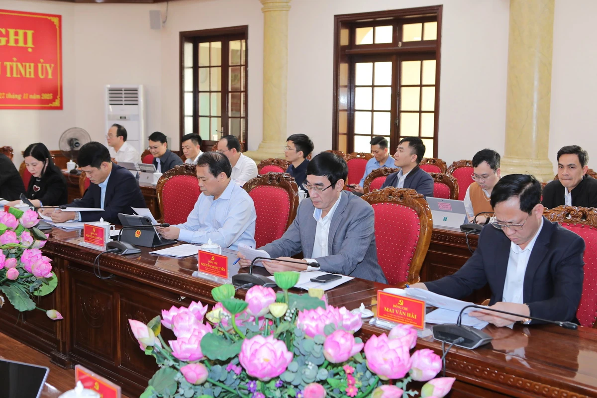 Ban Thường vụ Tỉnh ủy cho ý kiến các nội dung liên quan kỳ họp HĐND tỉnh cuối năm và công tác đối ngoại